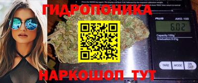 гидропоника Пугачёв