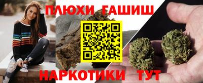 гидропоника Пугачёв