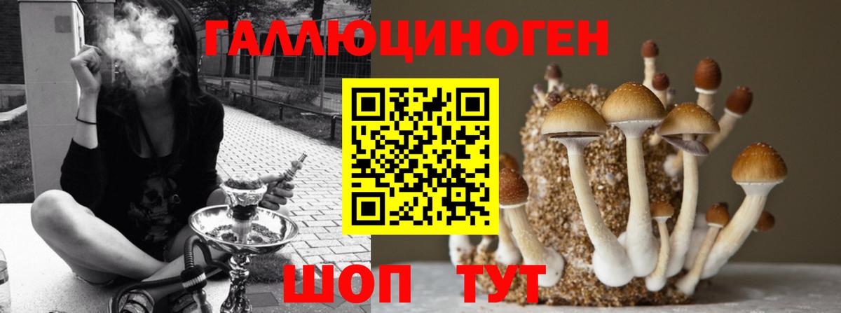 Реутов  Псилоцибиновые грибы Cubensis  Вход с VPN 