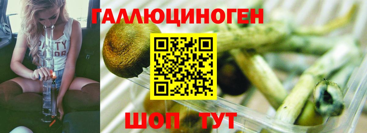 Псилоцибиновые грибы ЛСД Реутов